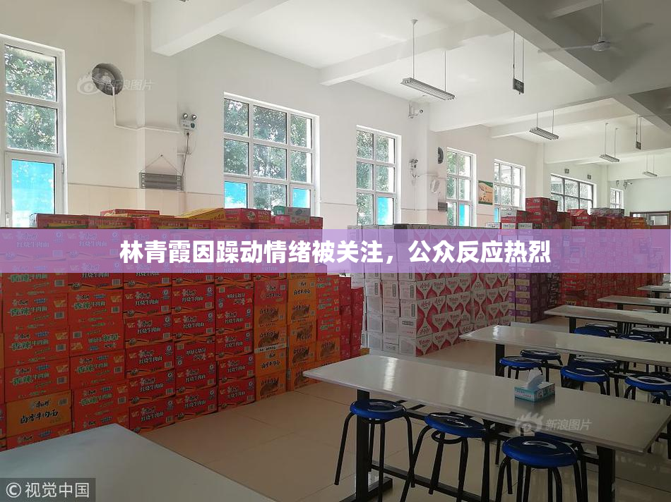 林青霞因躁动情绪被关注，公众反应热烈