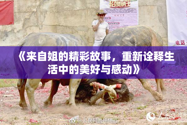 《来自姐的精彩故事，重新诠释生活中的美好与感动》