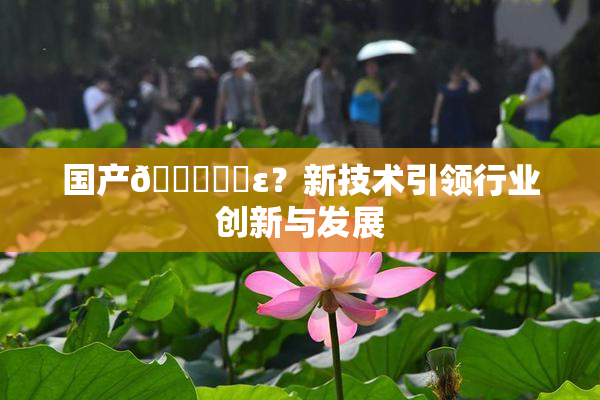 国产🔞❌‌ε？新技术引领行业创新与发展