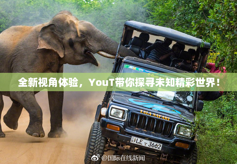 全新视角体验，YouT带你探寻未知精彩世界！