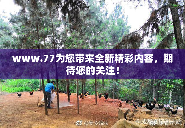 www.77为您带来全新精彩内容，期待您的关注！