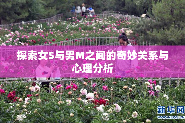 探索女S与男M之间的奇妙关系与心理分析