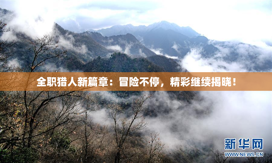 全职猎人新篇章：冒险不停，精彩继续揭晓！