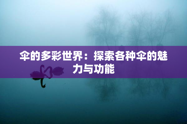 伞的多彩世界：探索各种伞的魅力与功能