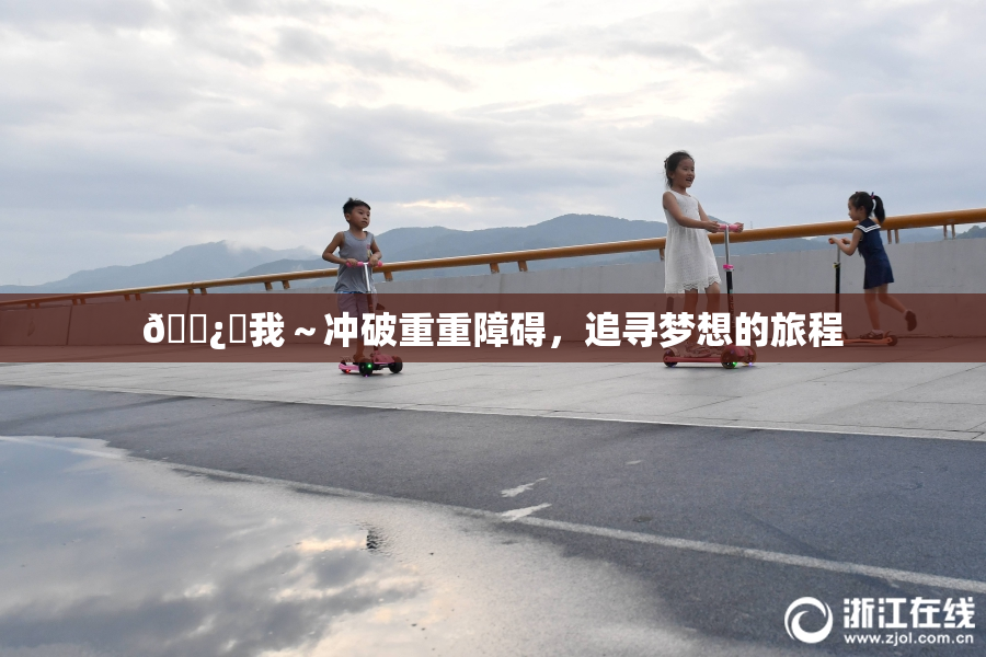 🌿‌我～冲破重重障碍，追寻梦想的旅程