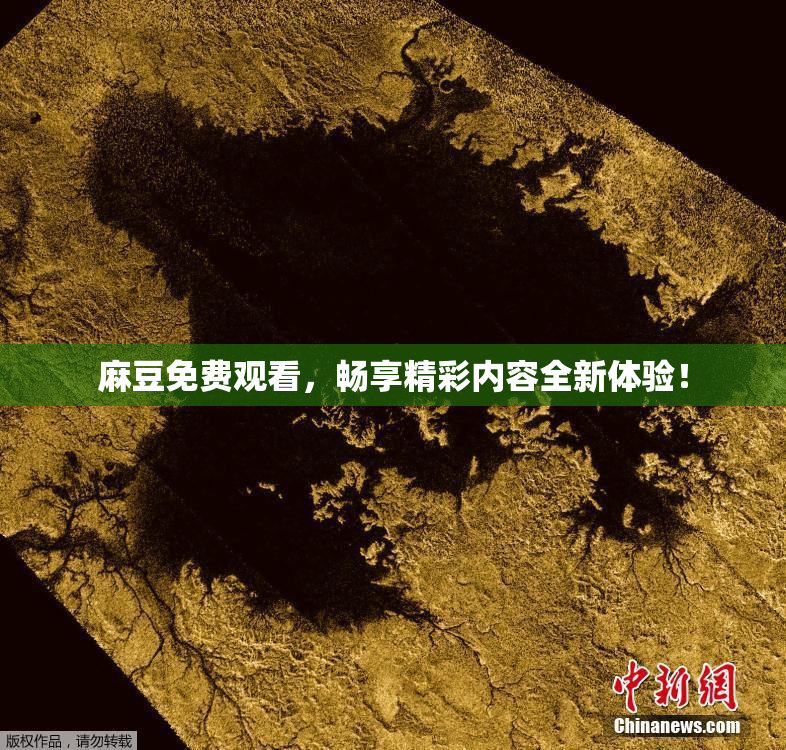 麻豆免费观看，畅享精彩内容全新体验！
