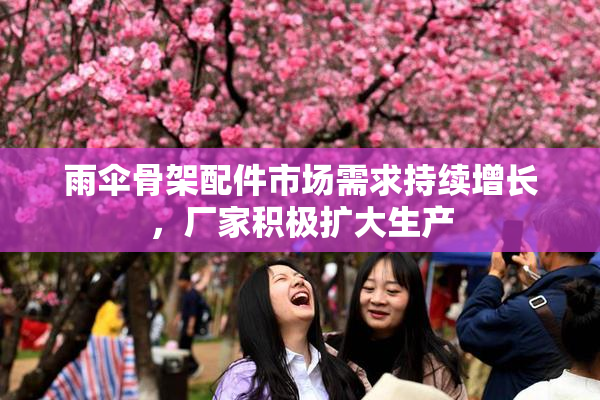 雨伞骨架配件市场需求持续增长，厂家积极扩大生产