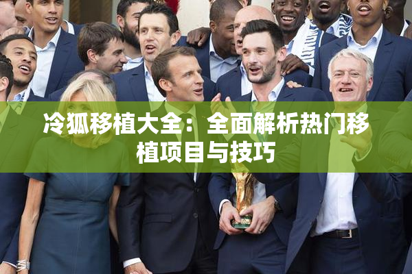冷狐移植大全：全面解析热门移植项目与技巧