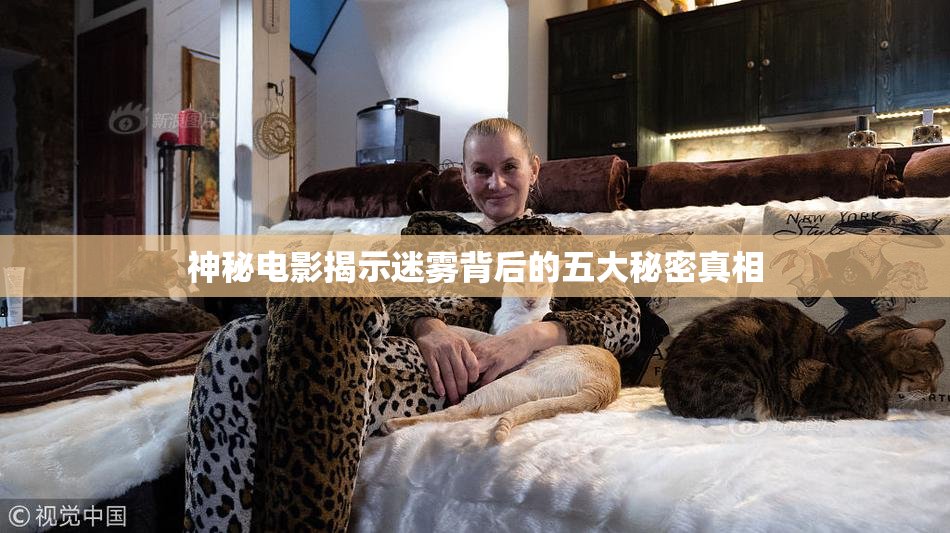 神秘电影揭示迷雾背后的五大秘密真相