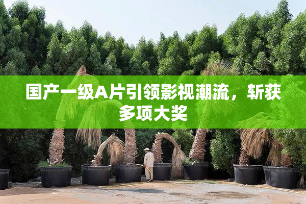 国产一级A片引领影视潮流，斩获多项大奖