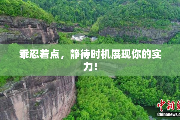 乖忍着点，静待时机展现你的实力！