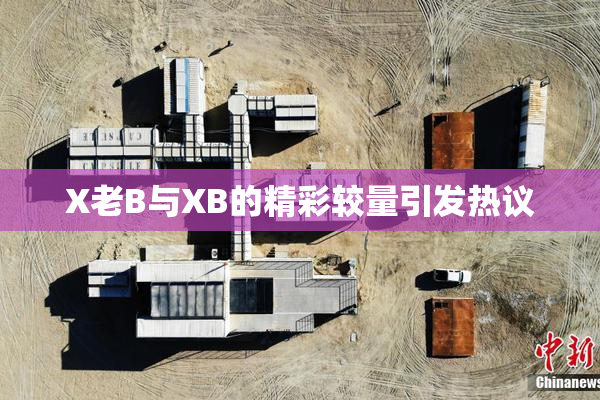 X老B与XB的精彩较量引发热议