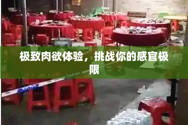 极致肉欲体验，挑战你的感官极限