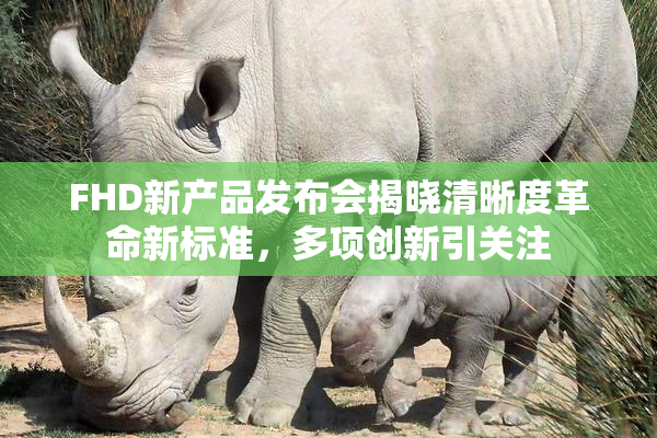 FHD新产品发布会揭晓清晰度革命新标准，多项创新引关注