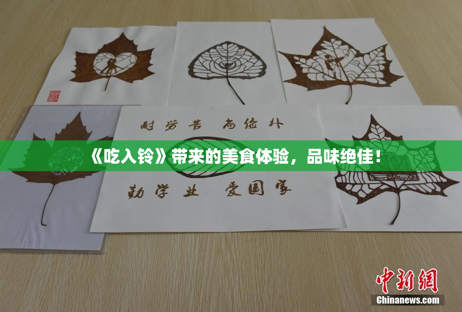 《吃入铃》带来的美食体验，品味绝佳！