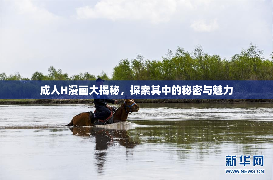 成人H漫画大揭秘，探索其中的秘密与魅力