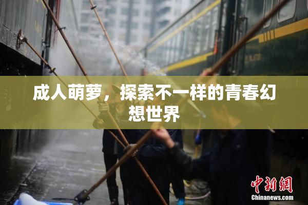 成人萌萝，探索不一样的青春幻想世界
