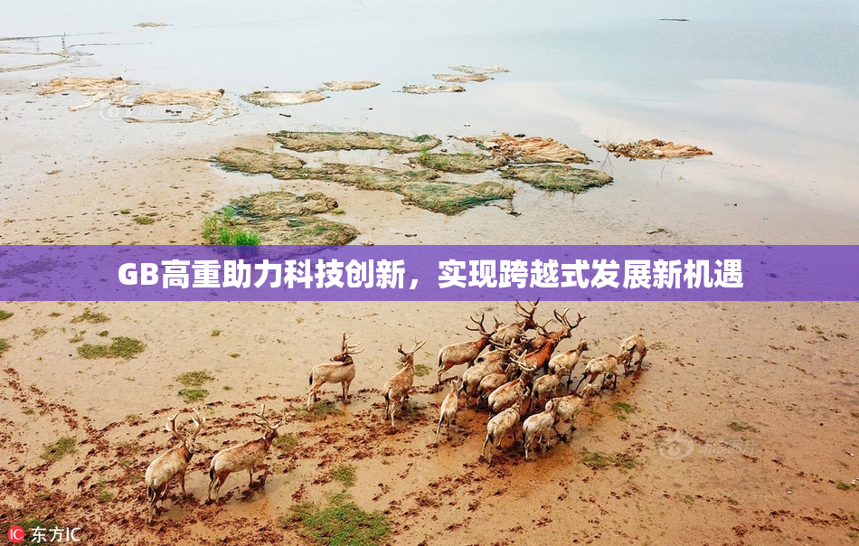 GB高重助力科技创新，实现跨越式发展新机遇