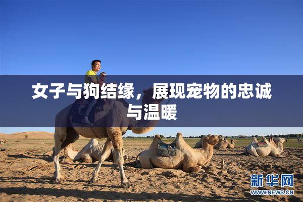 女子与狗结缘，展现宠物的忠诚与温暖