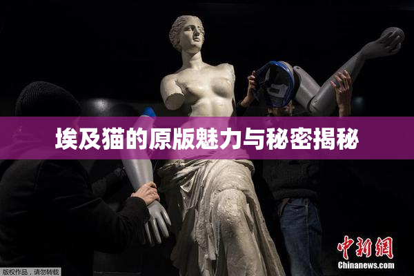 埃及猫的原版魅力与秘密揭秘