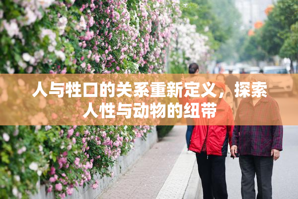人与牲口的关系重新定义，探索人性与动物的纽带