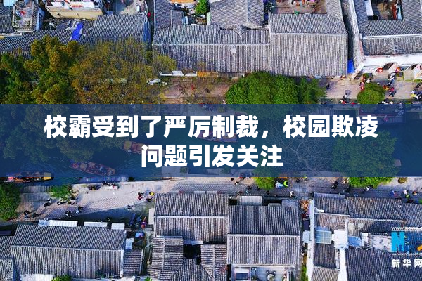 校霸受到了严厉制裁，校园欺凌问题引发关注