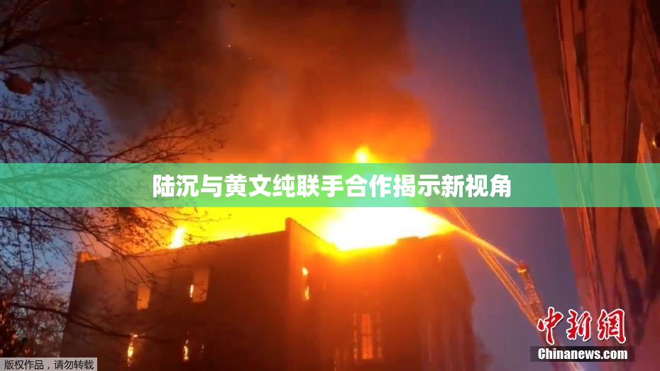 陆沉与黄文纯联手合作揭示新视角