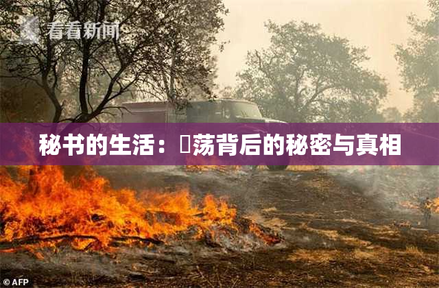 秘书的生活：婬荡背后的秘密与真相