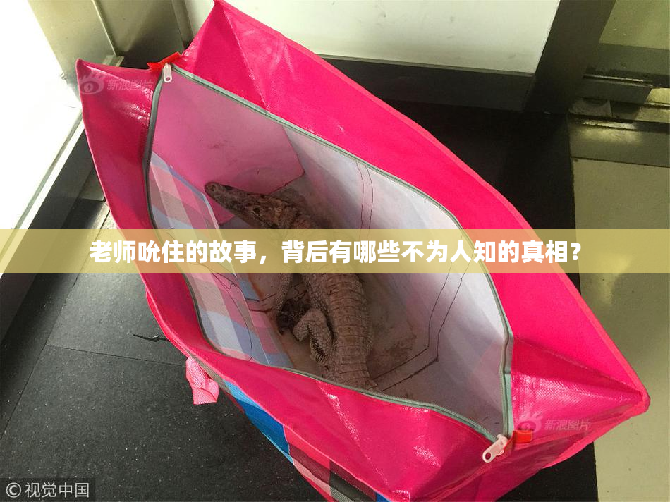 老师吮住的故事，背后有哪些不为人知的真相？