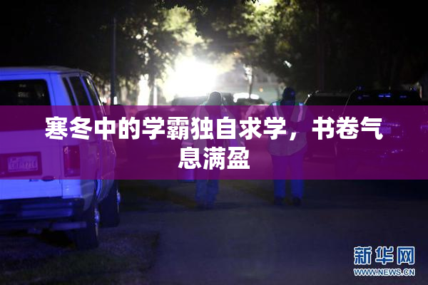 寒冬中的学霸独自求学，书卷气息满盈