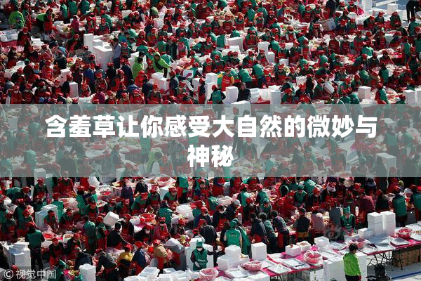含羞草让你感受大自然的微妙与神秘