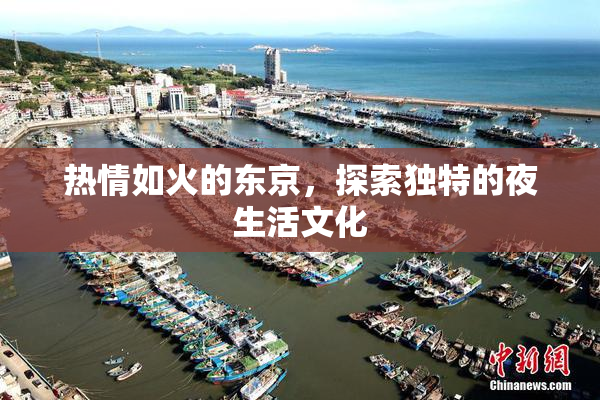 热情如火的东京，探索独特的夜生活文化