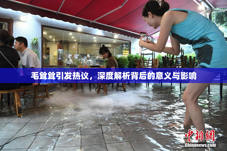 毛耸耸引发热议，深度解析背后的意义与影响