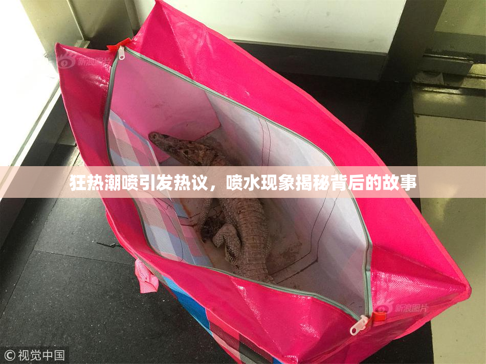 狂热潮喷引发热议，喷水现象揭秘背后的故事