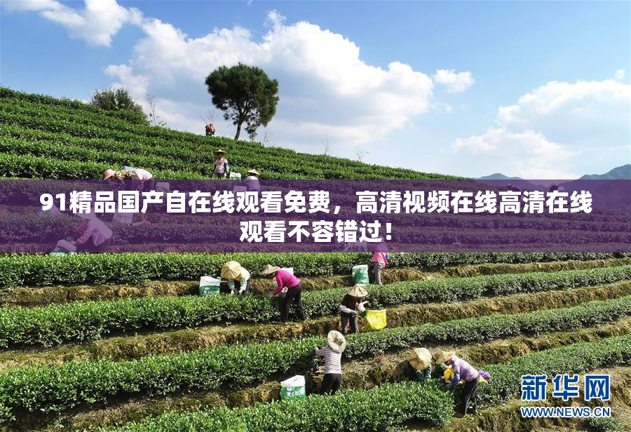 91精品国产自在线观看免费，高清视频在线高清在线观看不容错过！