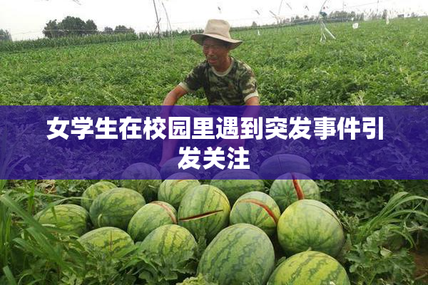 女学生在校园里遇到突发事件引发关注