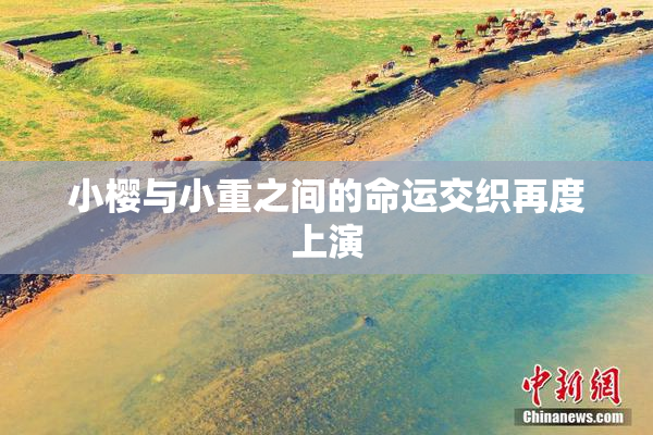 小樱与小重之间的命运交织再度上演