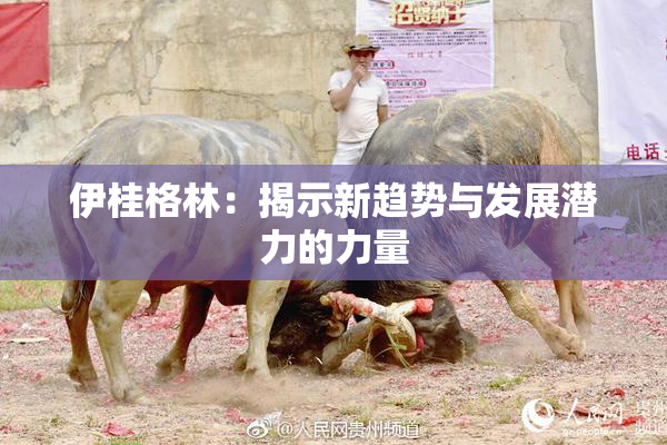 伊桂格林：揭示新趋势与发展潜力的力量