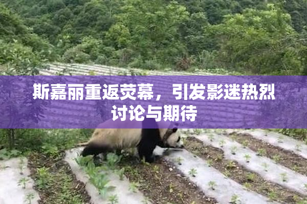 斯嘉丽重返荧幕，引发影迷热烈讨论与期待