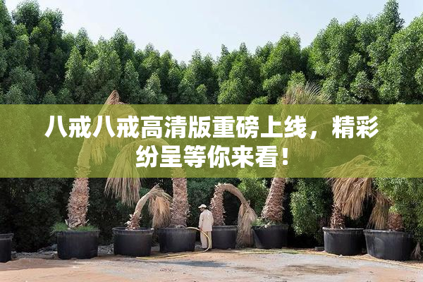八戒八戒高清版重磅上线，精彩纷呈等你来看！