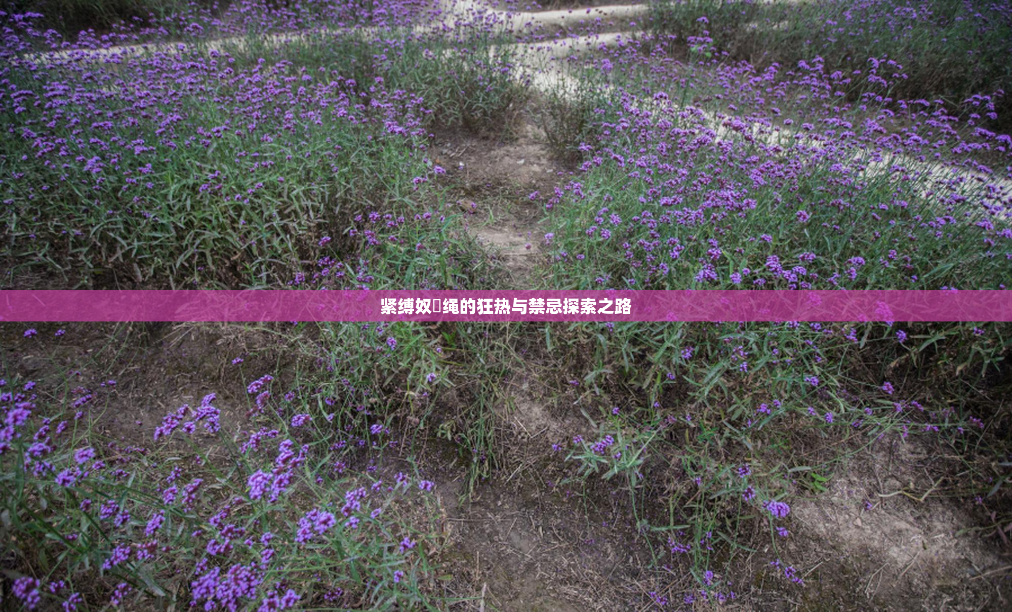 紧缚奴隸绳的狂热与禁忌探索之路