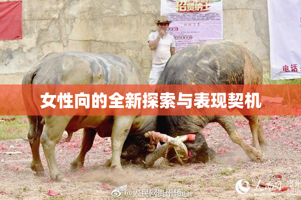 女性向的全新探索与表现契机