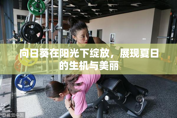 向日葵在阳光下绽放，展现夏日的生机与美丽