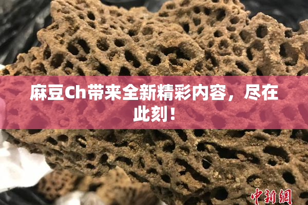 麻豆Ch带来全新精彩内容，尽在此刻！