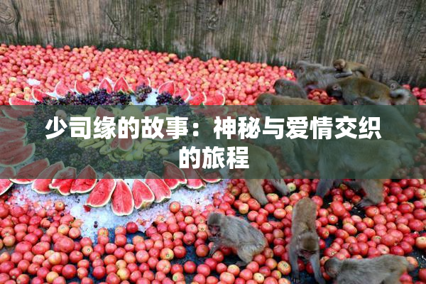 少司缘的故事：神秘与爱情交织的旅程