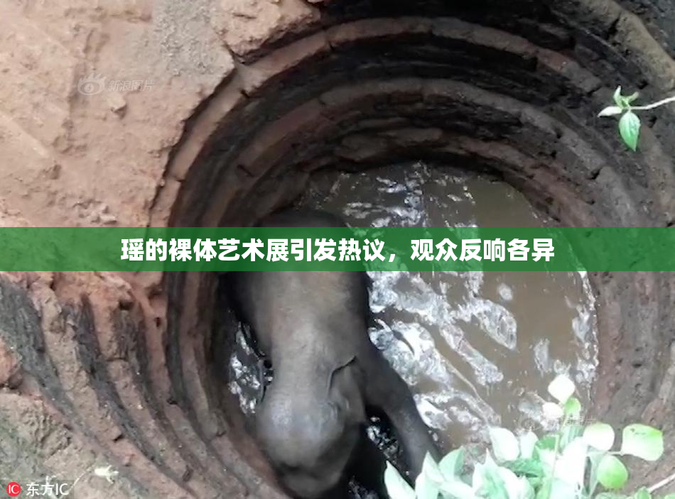 瑶的裸体艺术展引发热议，观众反响各异