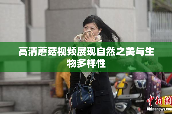 高清蘑菇视频展现自然之美与生物多样性