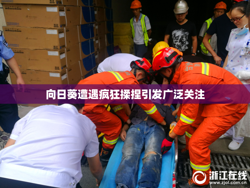 向日葵遭遇疯狂揉捏引发广泛关注