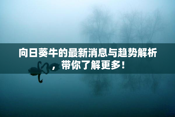 向日葵牛的最新消息与趋势解析，带你了解更多！