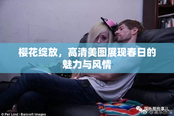樱花绽放，高清美图展现春日的魅力与风情